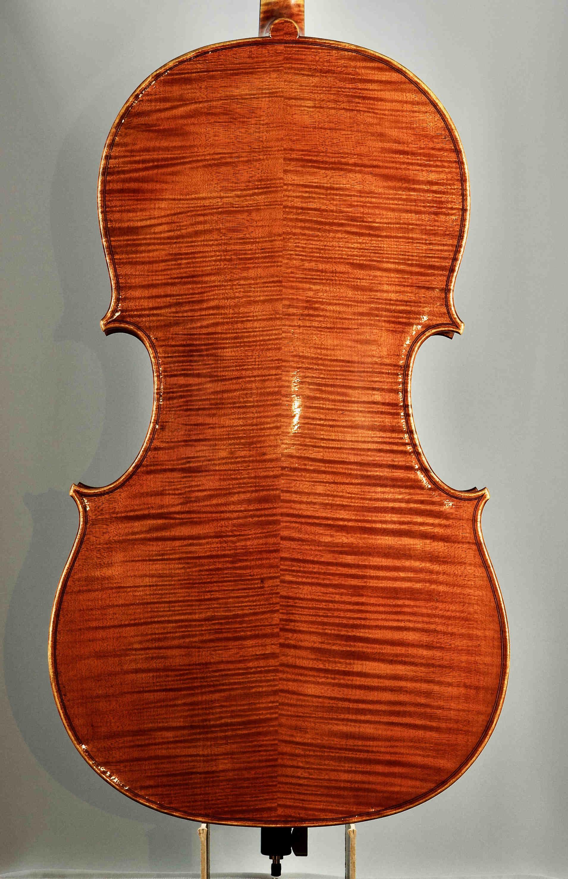 Violončelo D.Montagnana