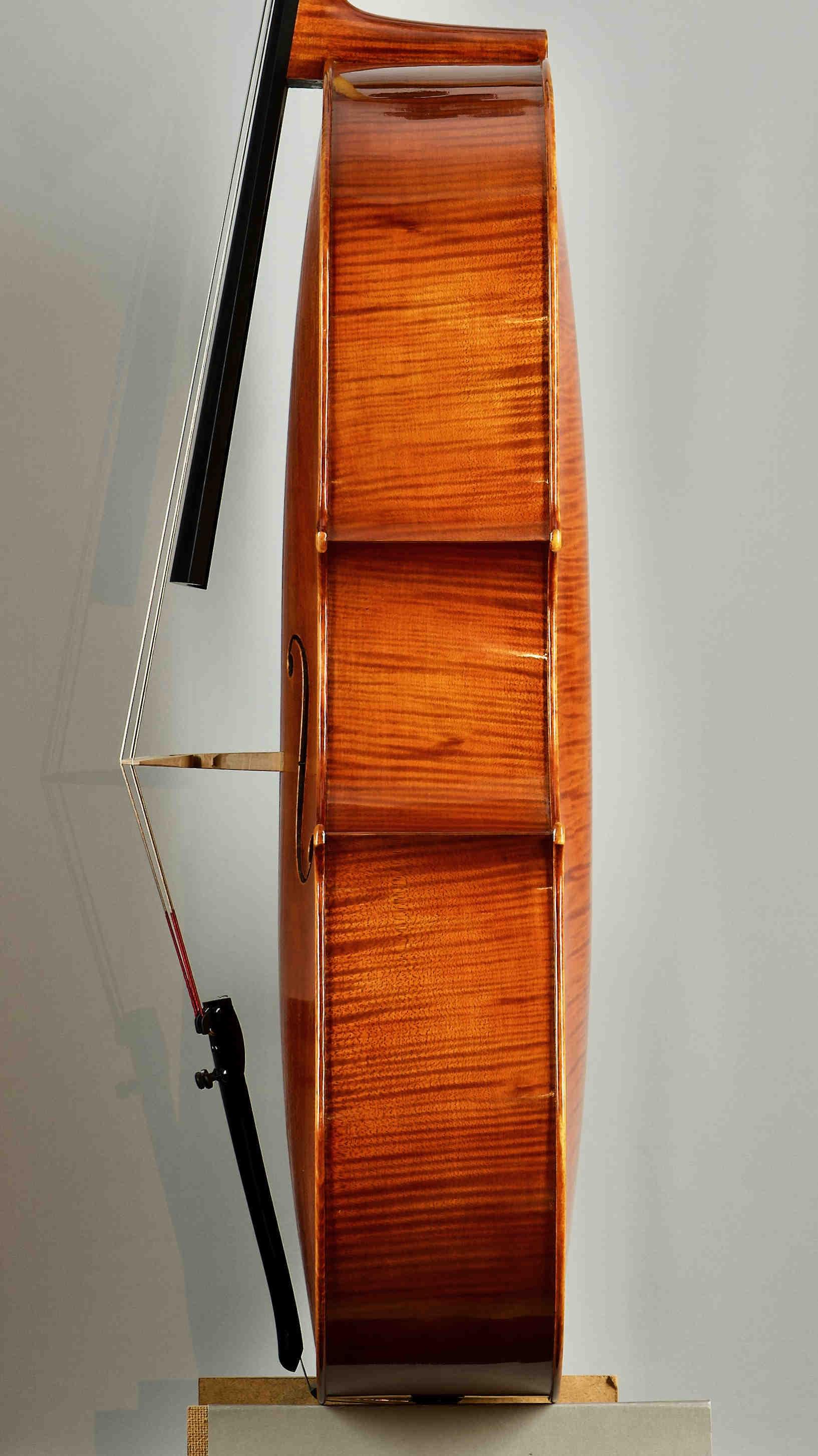 Violoncello D.Montagnana
