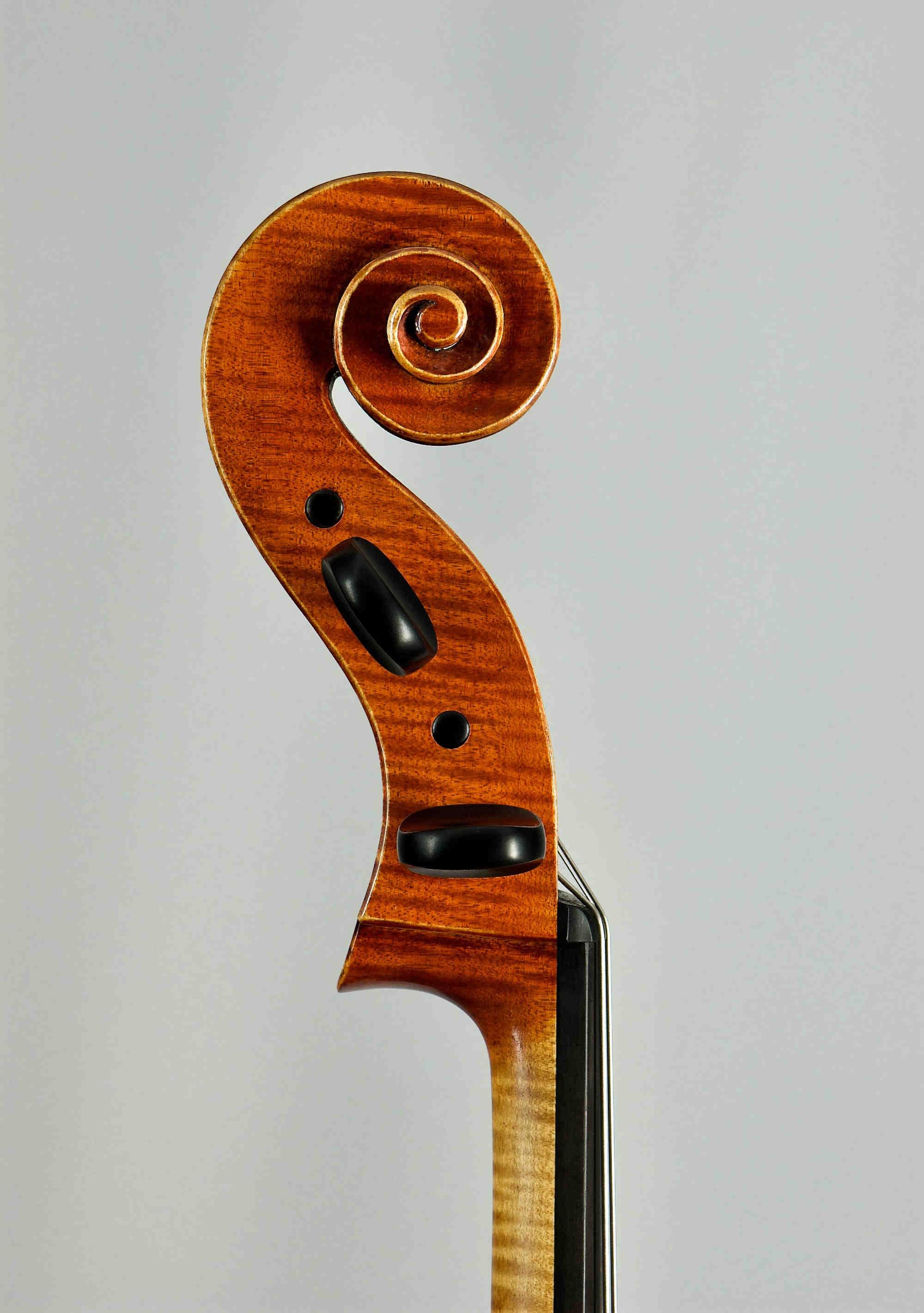 Violoncello D.Montagnana