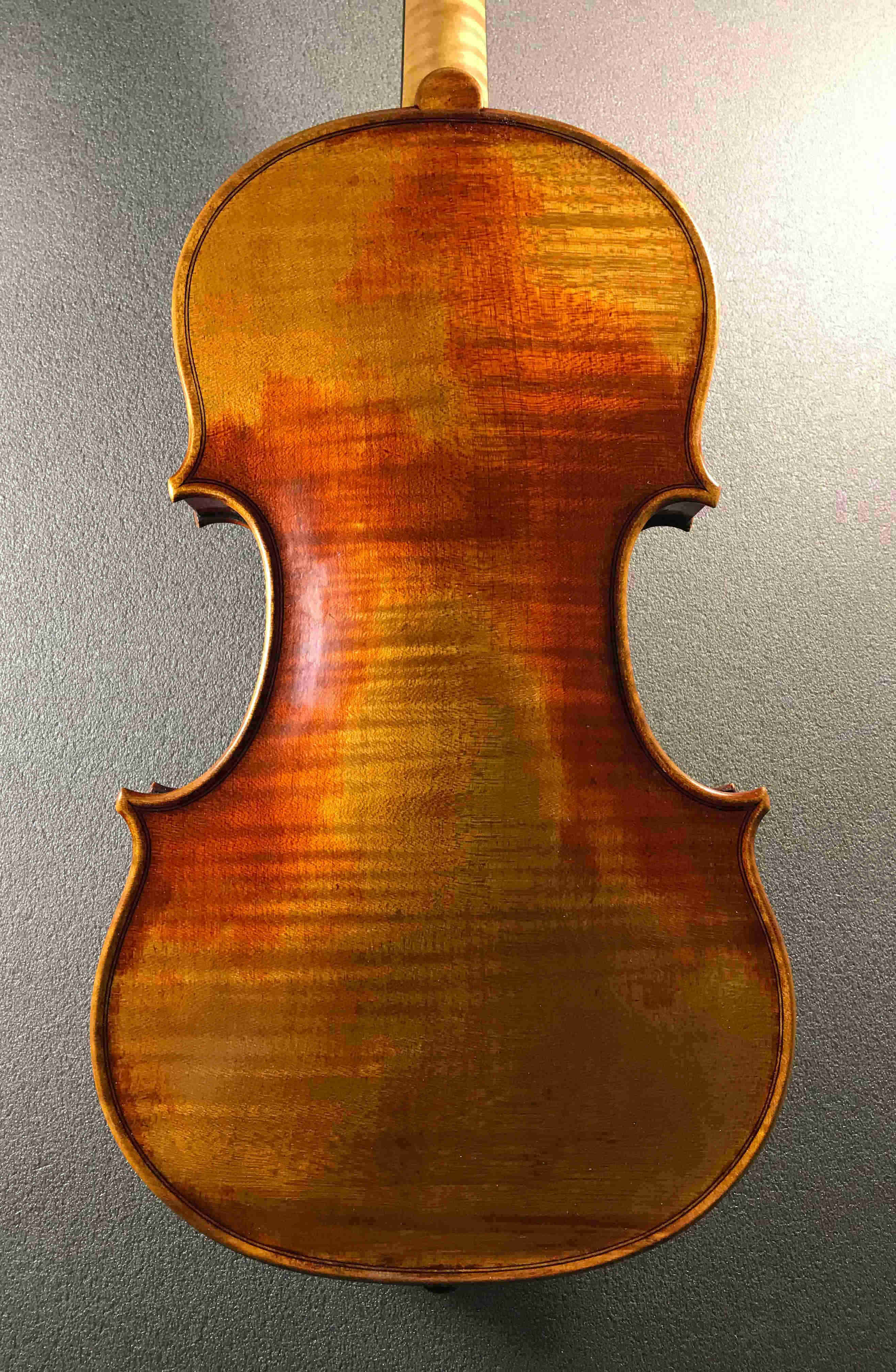 violin C.Bergonzi 1731