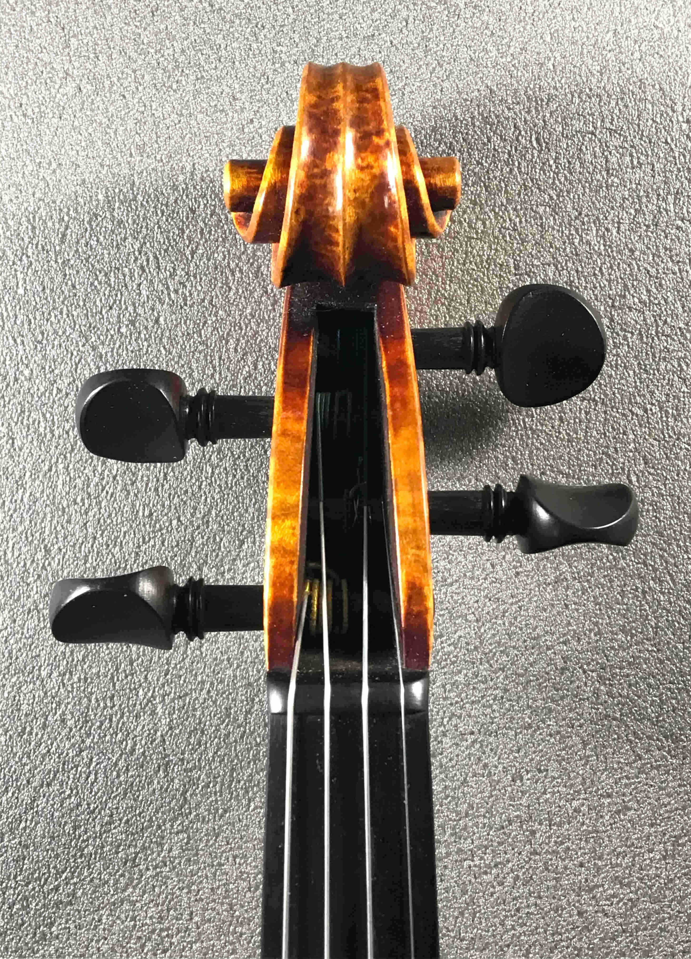 violin C.Bergonzi 1731