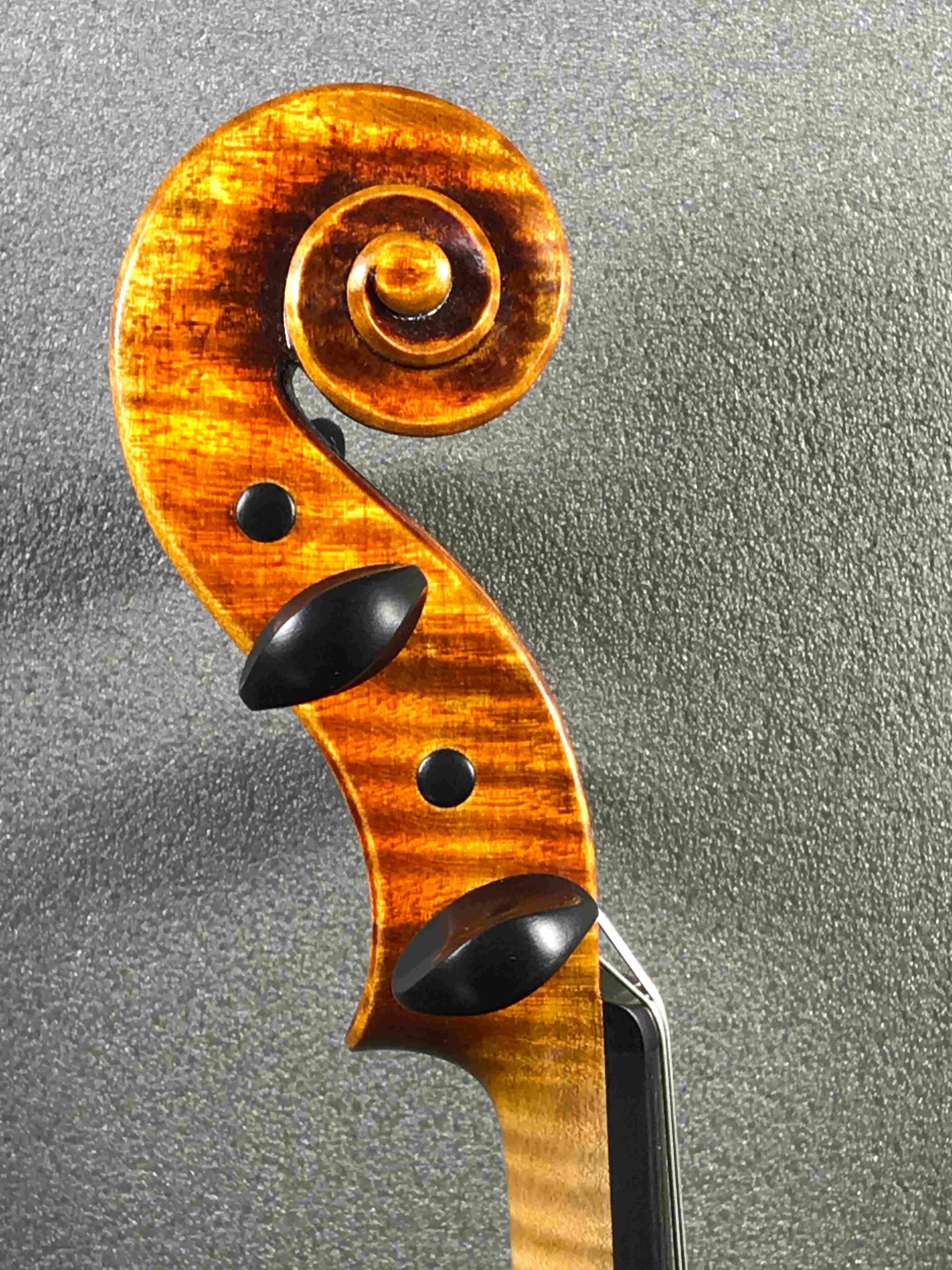 violin C.Bergonzi 1731