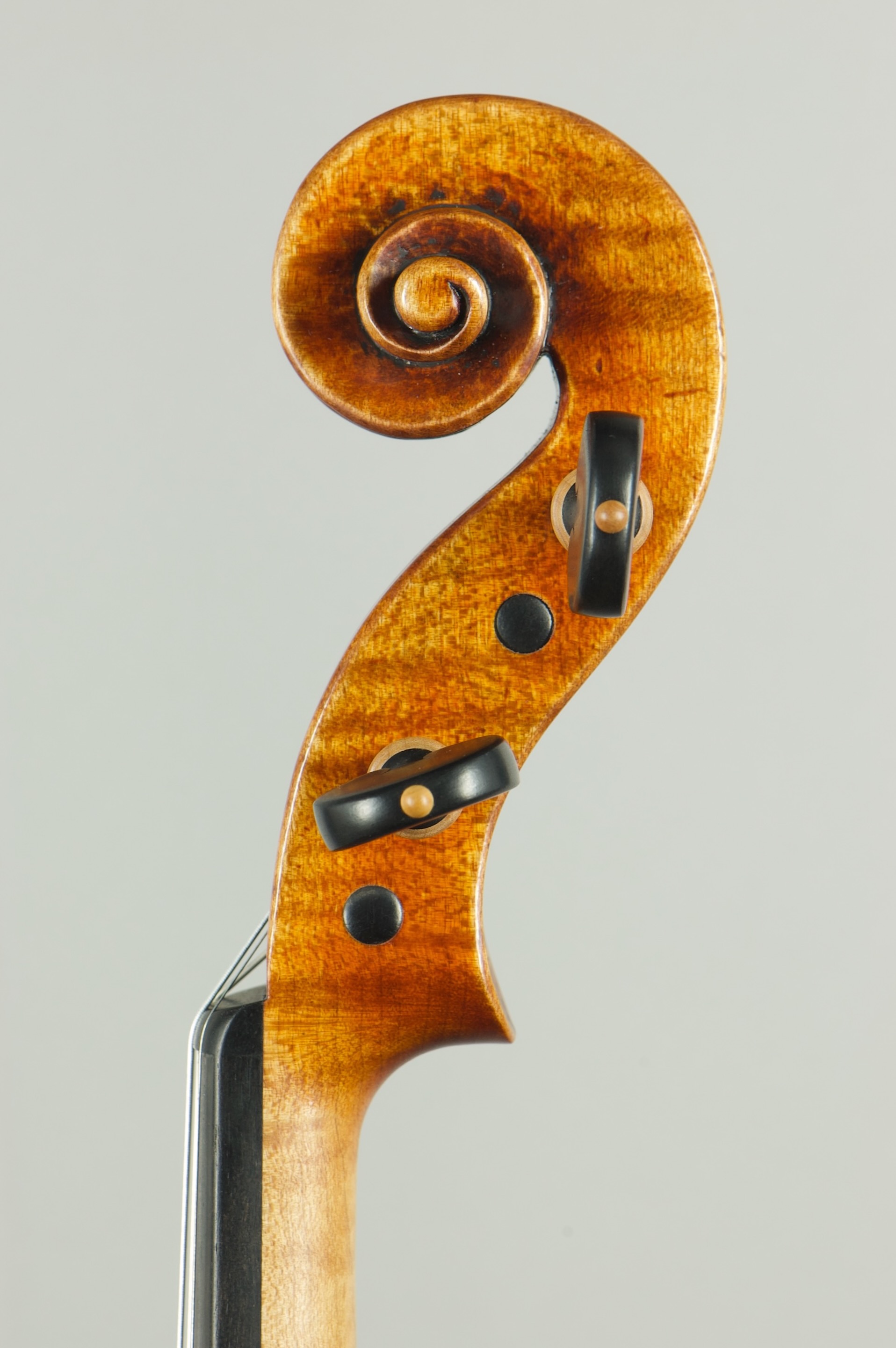 Housle Guarneri del Gesu 'Plowden' 1735