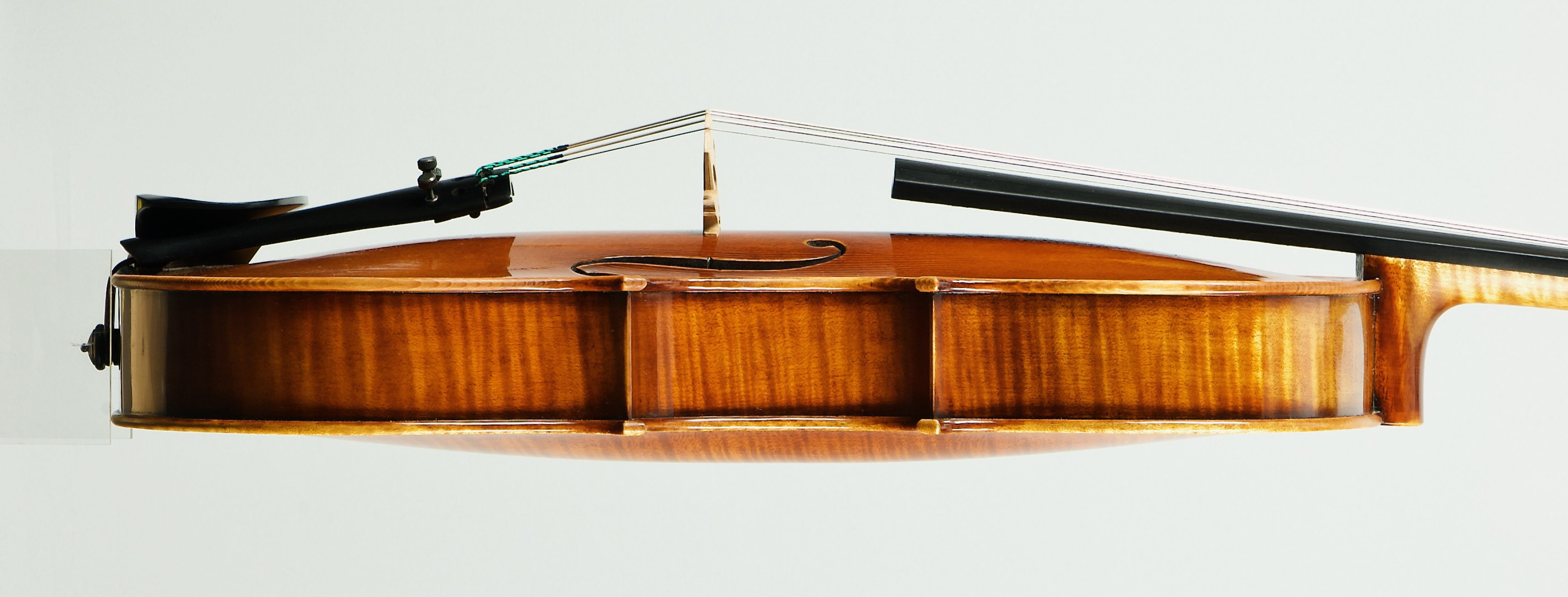 Viola G.B.Guadagnini 1785