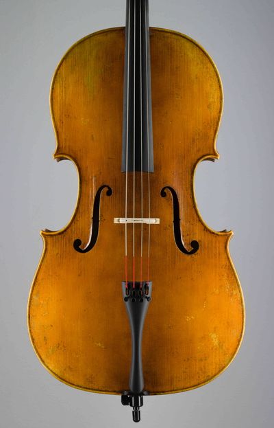 Violoncello Modelu D.Montagnana