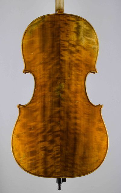 Violoncello Modelu D.Montagnana