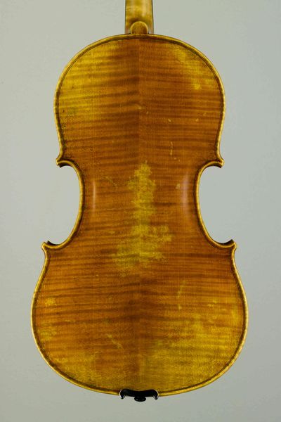 Student viola