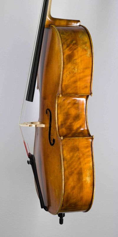 Violoncello Modelu D.Montagnana
