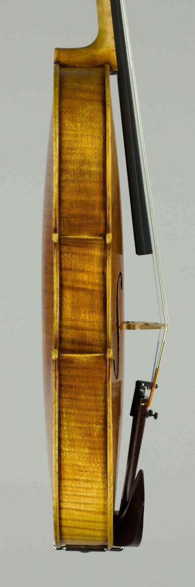 Student viola