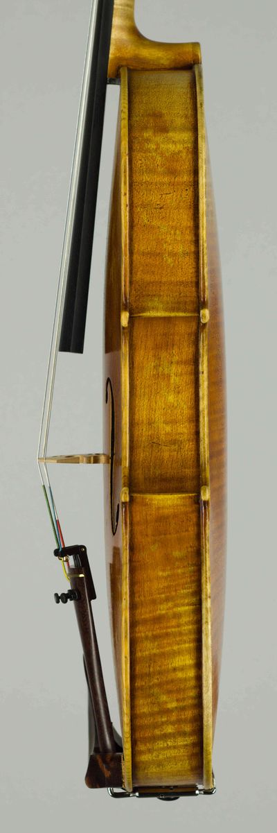 Student viola