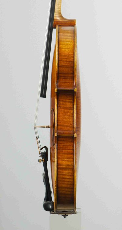podle Antonio Stradivari „Mediceo“ 1716