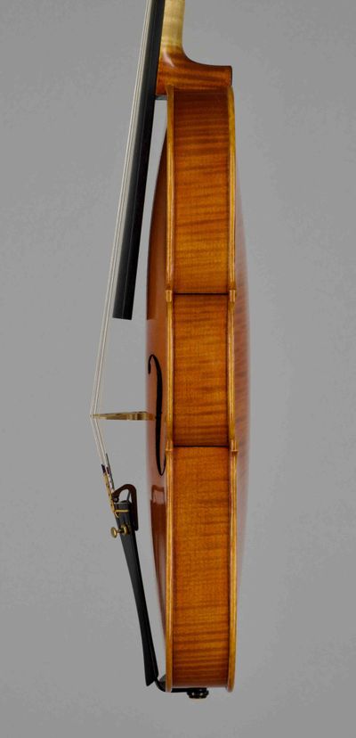 built after the Model of A. Stradivari's "Mediceo" 1716