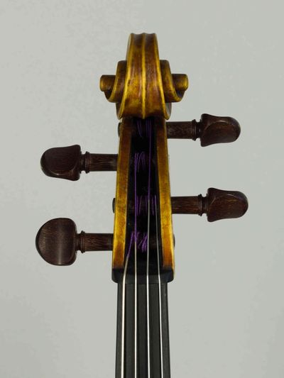 Student viola