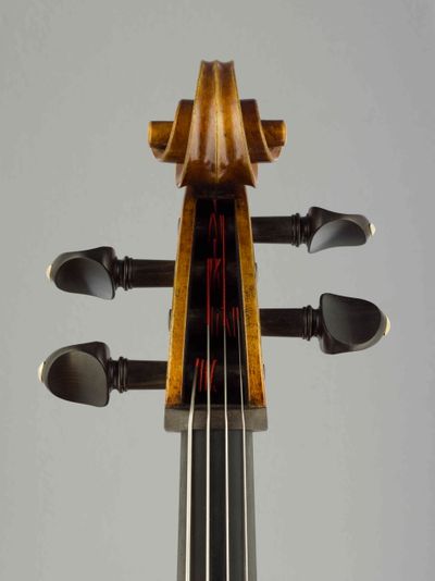 Violoncello Modelu D.Montagnana
