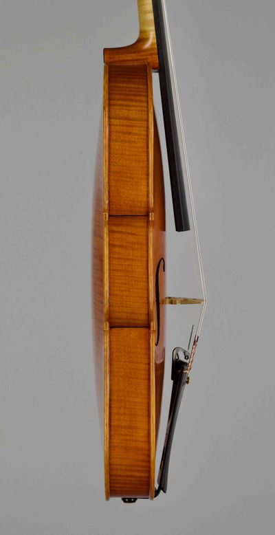 built after the Model of A. Stradivari's "Mediceo" 1716