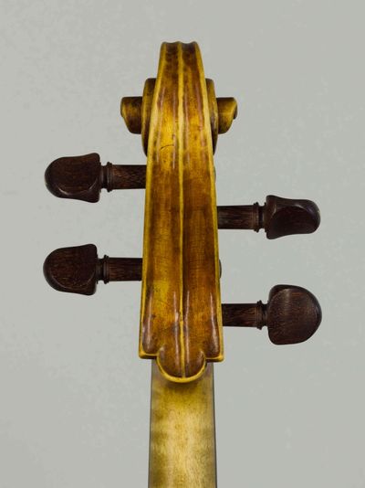 Student viola