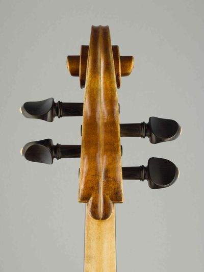 Violoncello Modelu D.Montagnana