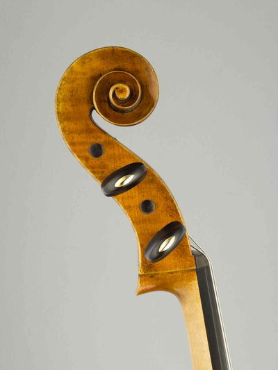 Violoncello Modelu D.Montagnana