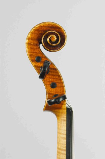 podle Antonio Stradivari „Mediceo“ 1716