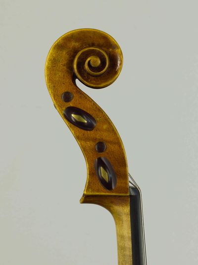 Student viola