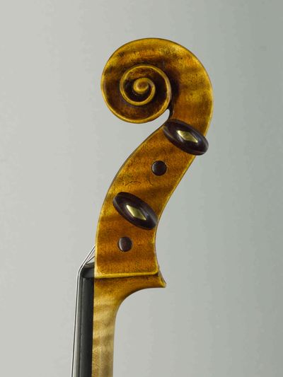 Student viola