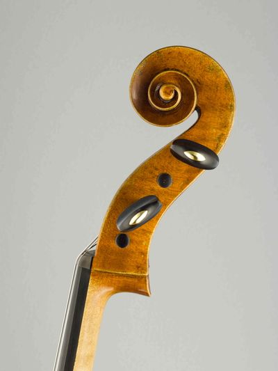 Violoncello Modelu D.Montagnana