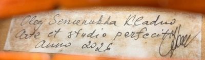Studentská viola vyrobená ve stylu Guarneri del Gesù
