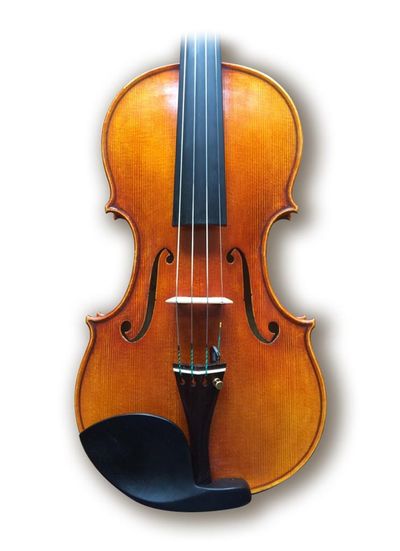 after Guarneri Del Gesu's "Leduc" 1745