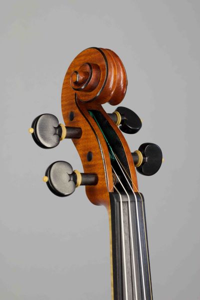 built after the Model of A. Stradivari's "Mediceo" 1716