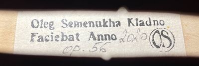 kopie housli Guarneri del Gesu "Ole Bull" 1744