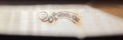 kopie housli Guarneri del Gesu "Ole Bull" 1744