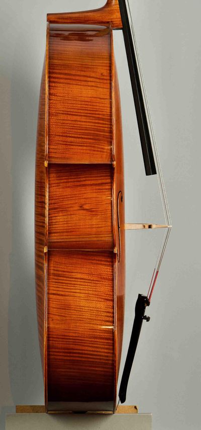 podle modelu D.Montagnana