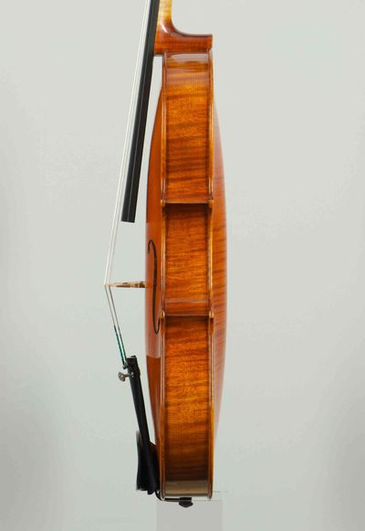 podle Antonio Stradivari „Tuscan-Medici“ 1690