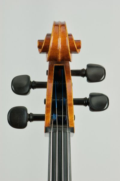 podle modelu Antonio Stradivari
