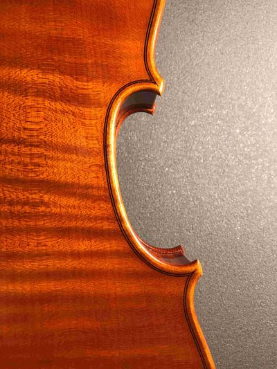 after G.B.Guadagnini viola 1785