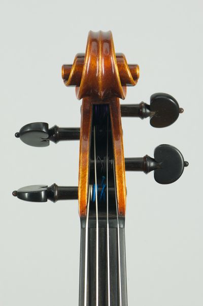 podle Modelu Nicolo Amati