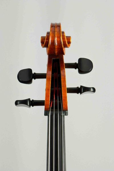 podle modelu D.Montagnana