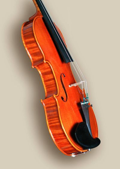 podle Antonio Stradivari „Mediceo“ 1716