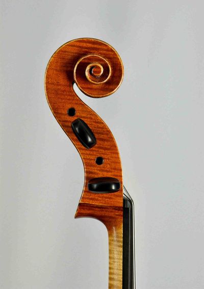 podle modelu D.Montagnana