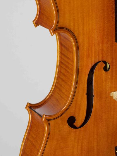 Violins