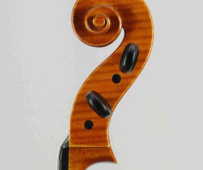 Violas