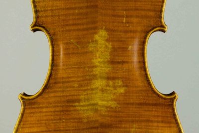 Student viola