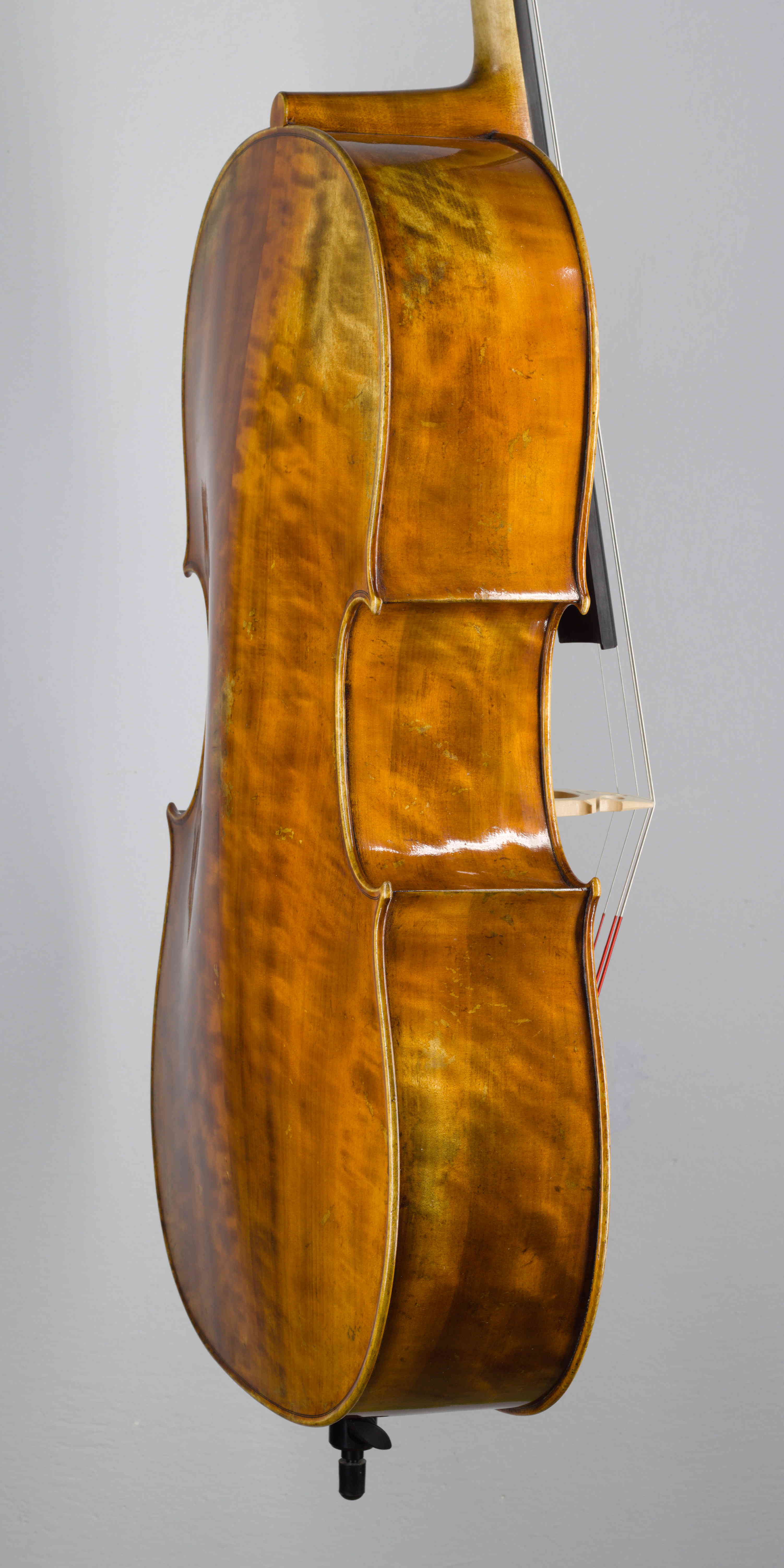 violončelo