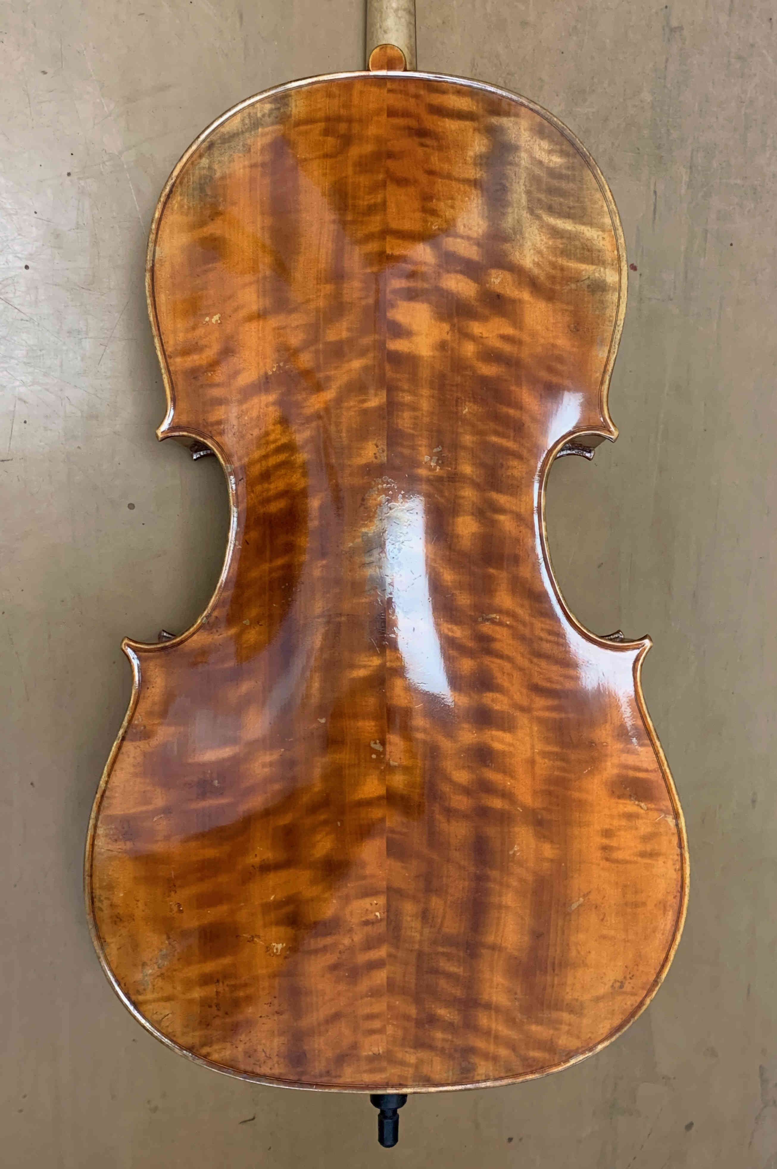 violončelo