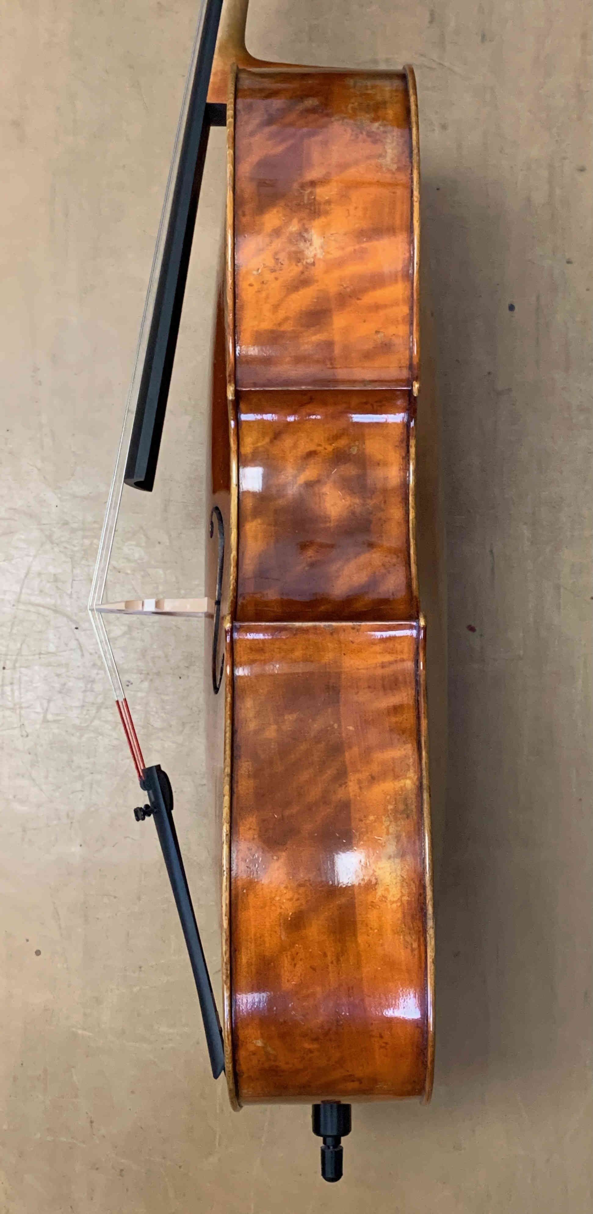 violončelo