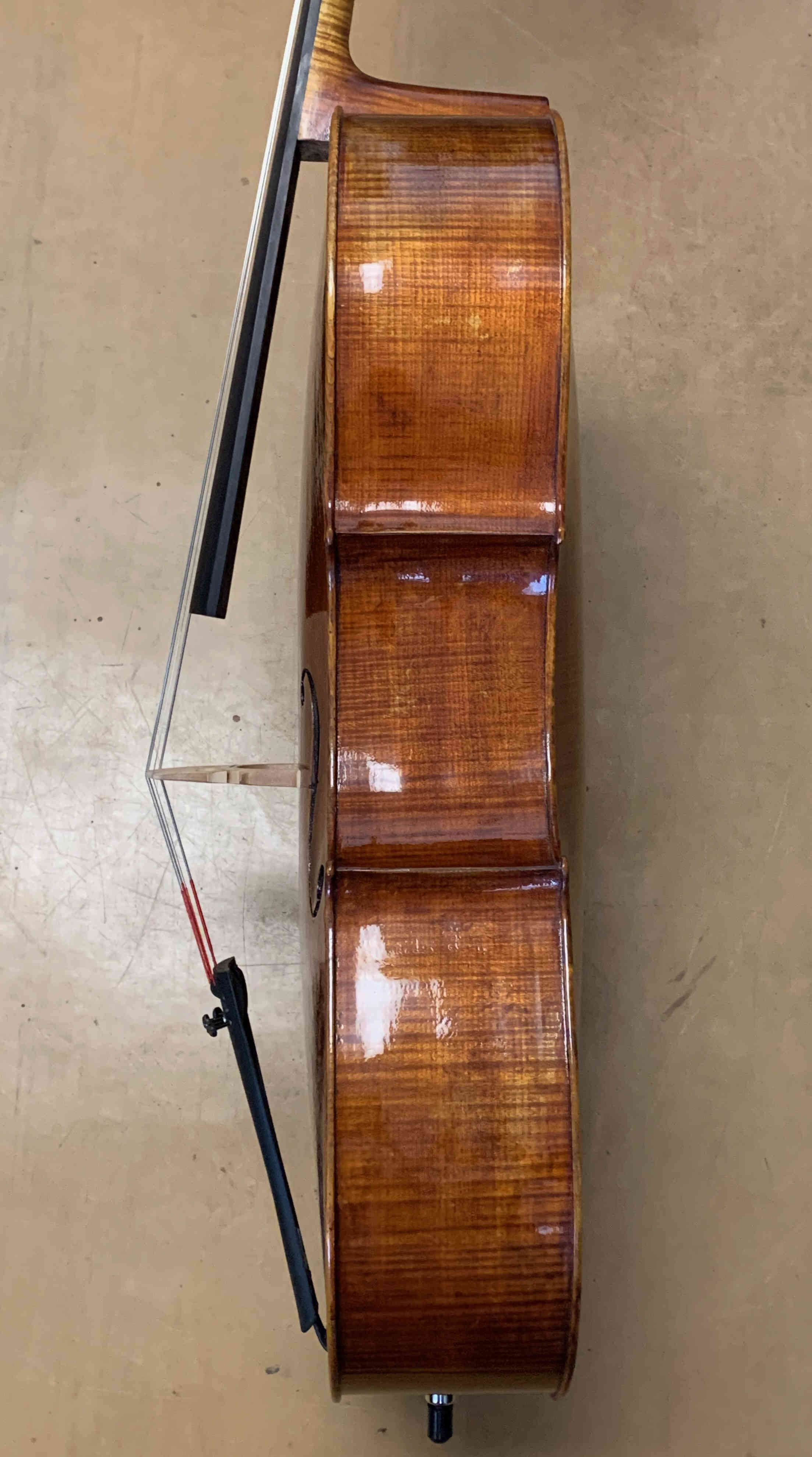 violončelo