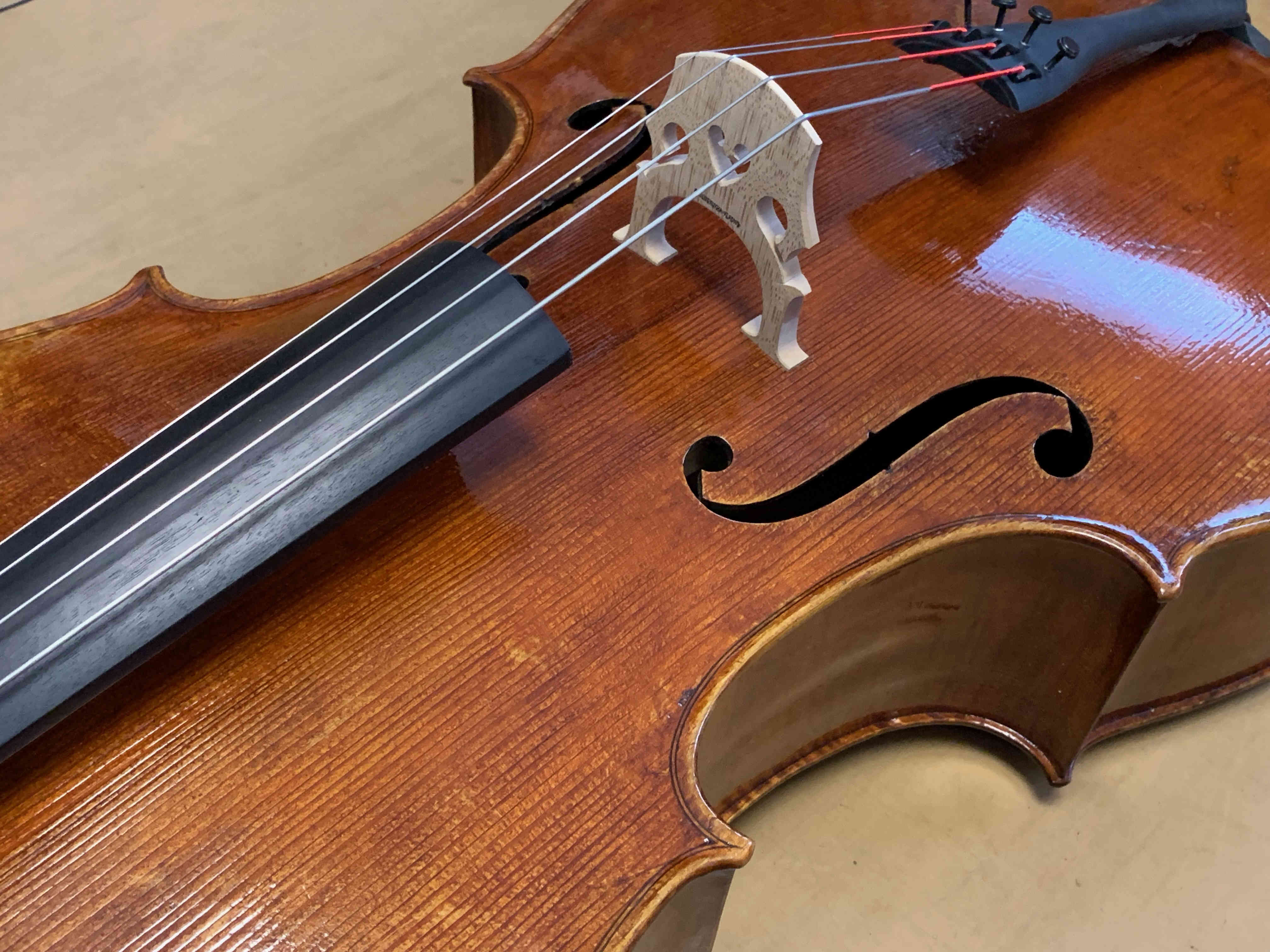violončelo