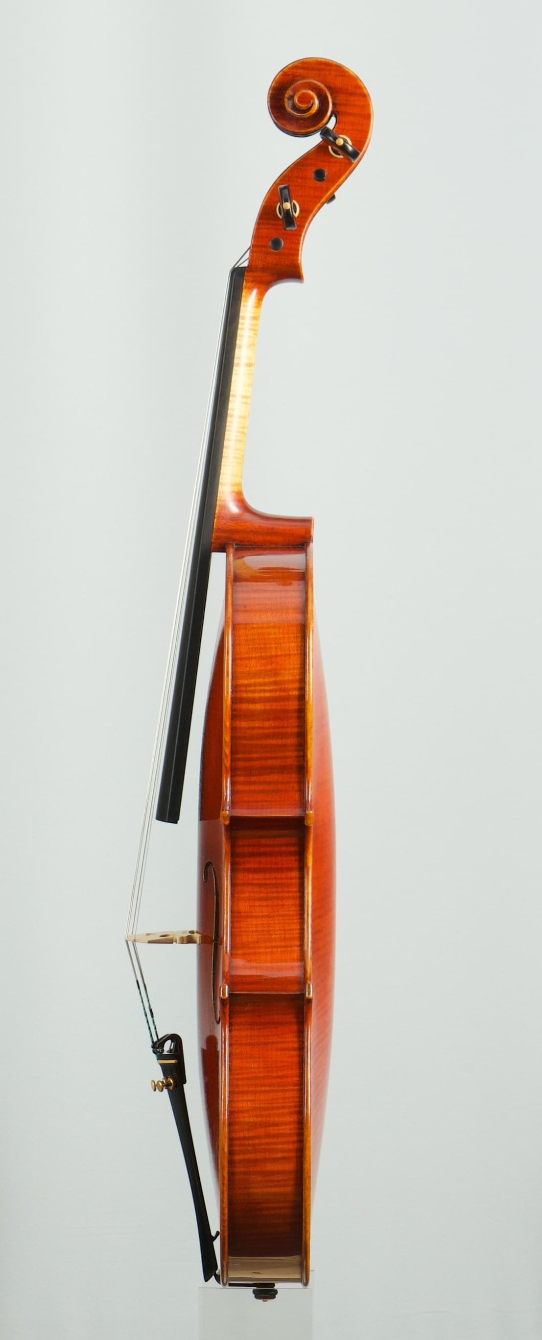 Viola G.B.Guadagnini 1785